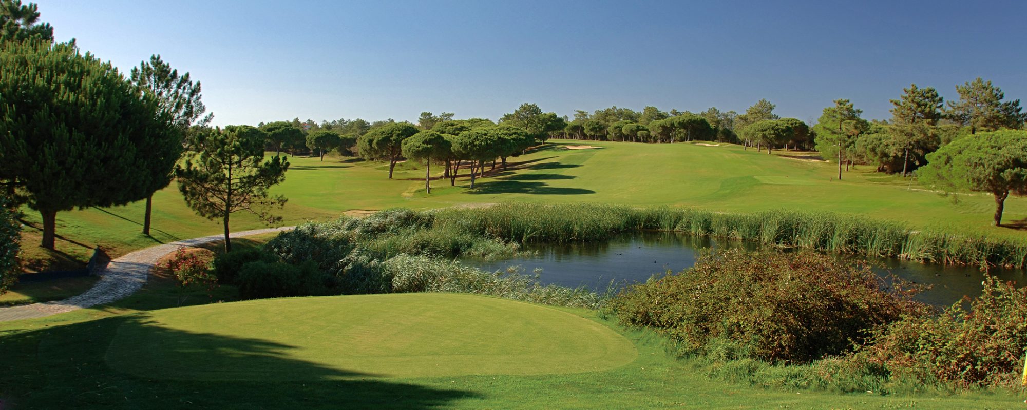 San Lorenzo Golf Course (1)